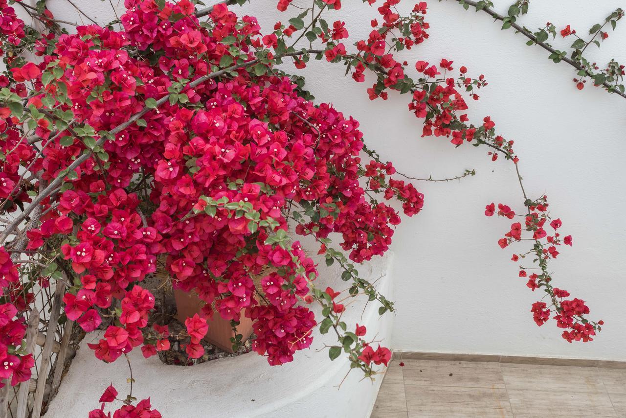 Depis Suites Naxos City 외부 사진